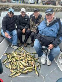 St. Clair Shores Report Photo 2