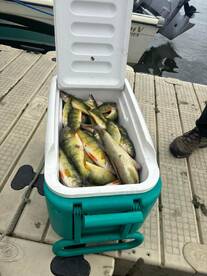 St. Clair Shores Report Photo 1