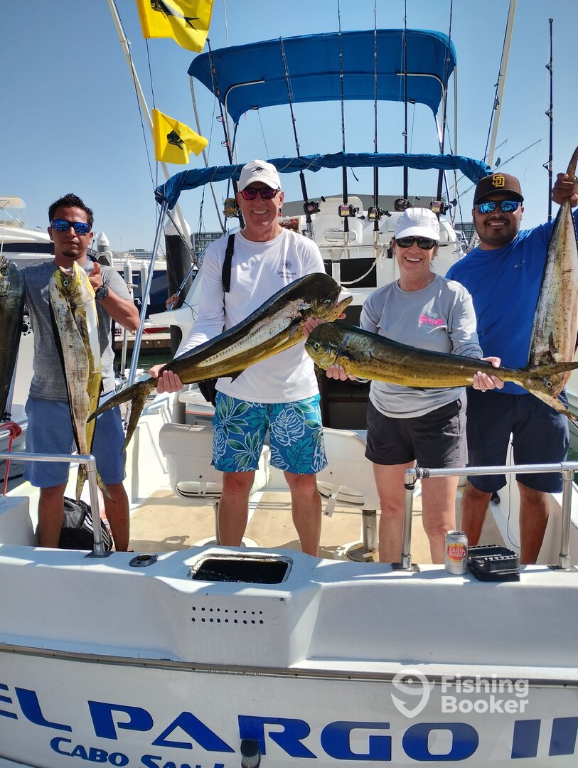 Cabo San Lucas Report Photo 0