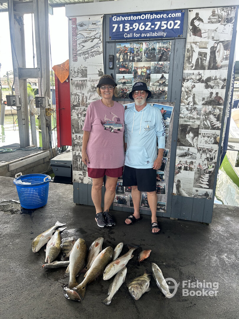 Galveston Report Photo 0