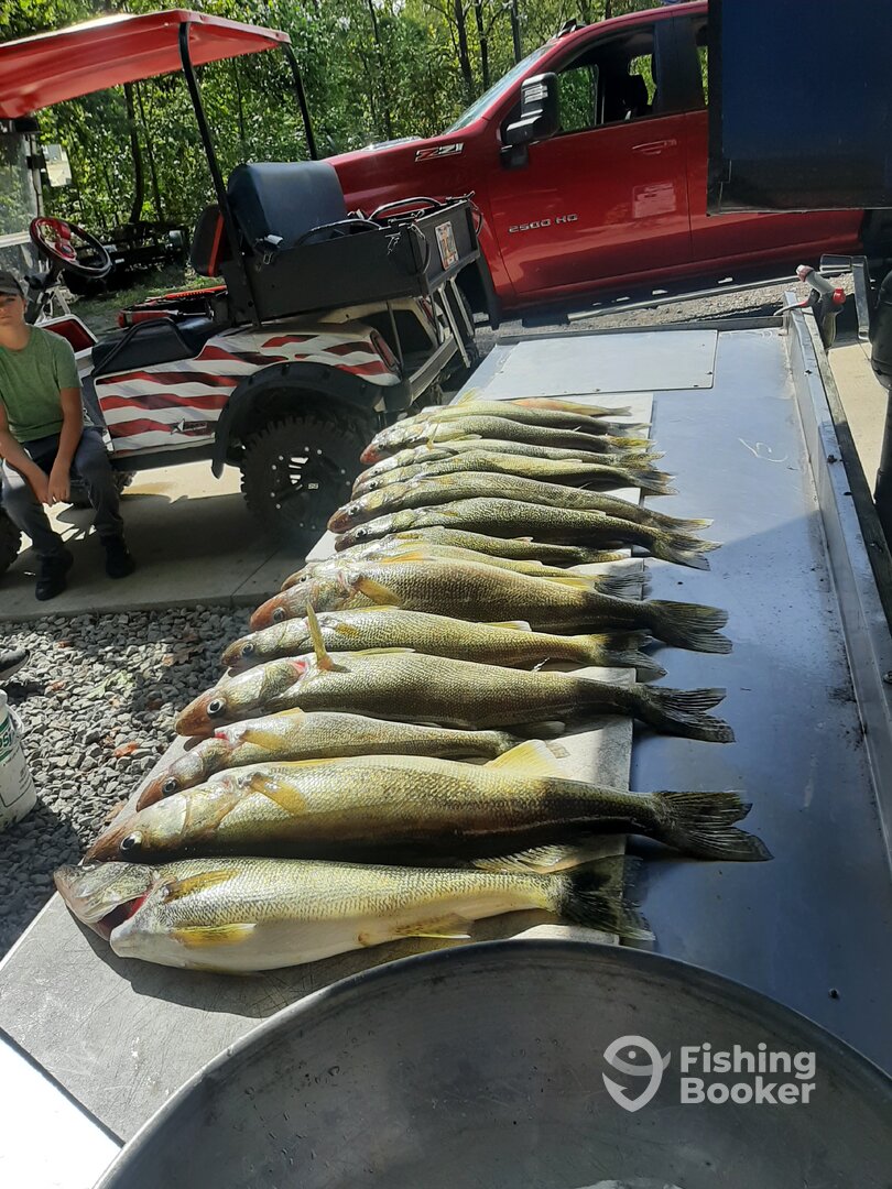 Vermilion Report Photo 0