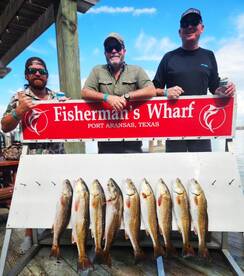 Port Aransas Report Photo 2