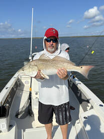 Venice Report Photo 2