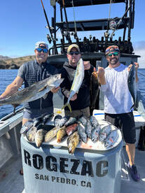 Great catalina island