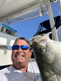 Striped Bass are beautiful in Townsends 