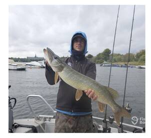 City fishing in Stockholm 