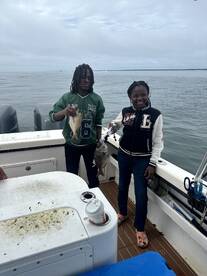 Crabs are gettibg crunched! 