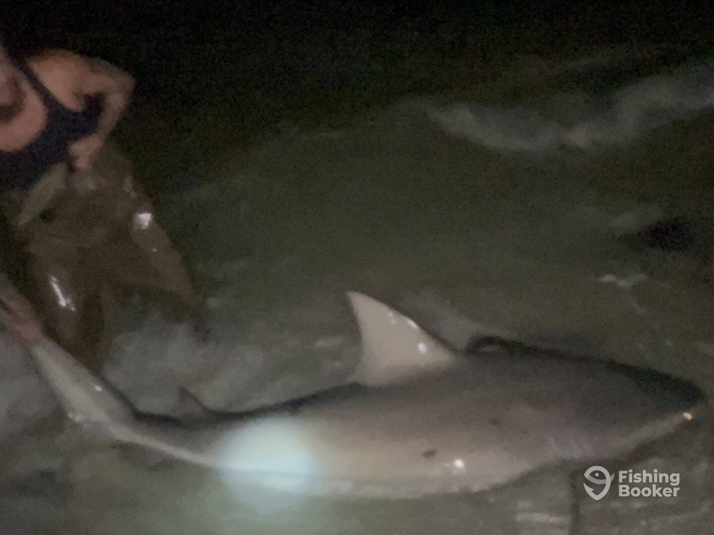 Destin Report Photo 0