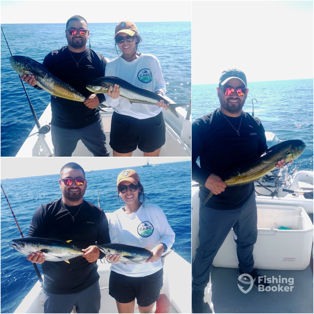 San Jose del Cabo Report Photo 0