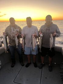 Offshore fishing remains fantastic!