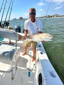 Bull Reds!