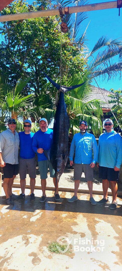 San Jose del Cabo Report Photo 0