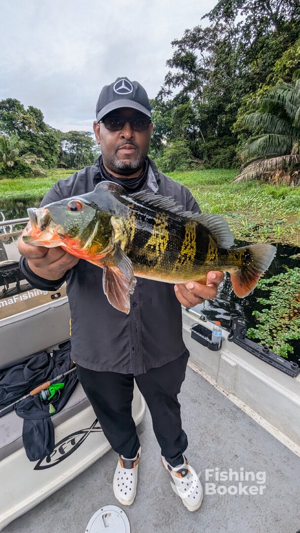 Gamboa Report Photo 0