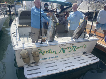 Cabo San Lucas Report Photo 2