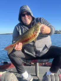 Buffalo Report Photo 1