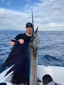 Puerto Vallarta Report Photo 1