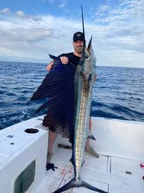 Bills are On in the Bay