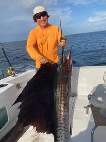 Puerto Vallarta Report Photo 2