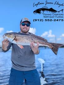 Big Fish In Shallow Water!