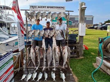 Sept.25 All Day Live Bait/Wreck Fishing 
