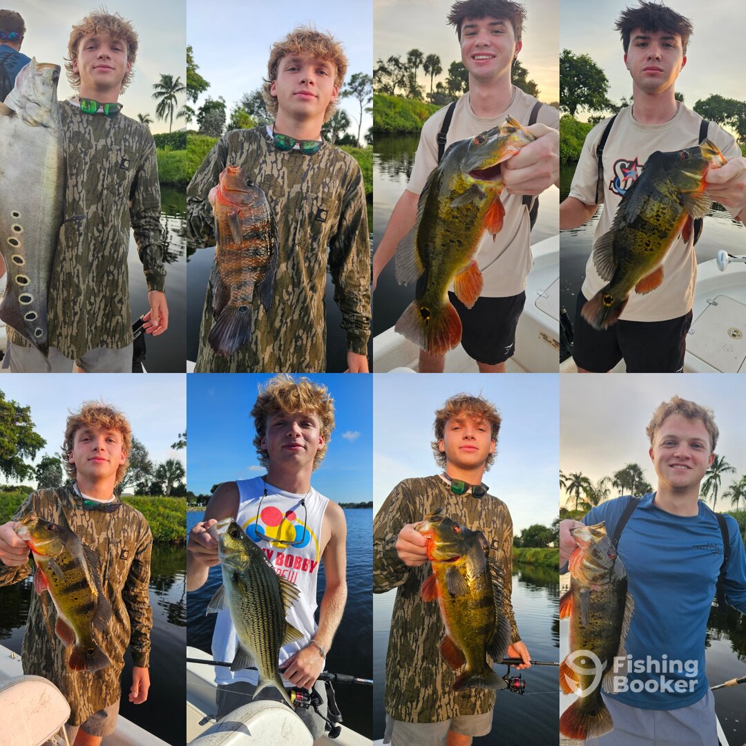 Delray Beach Report Photo 0