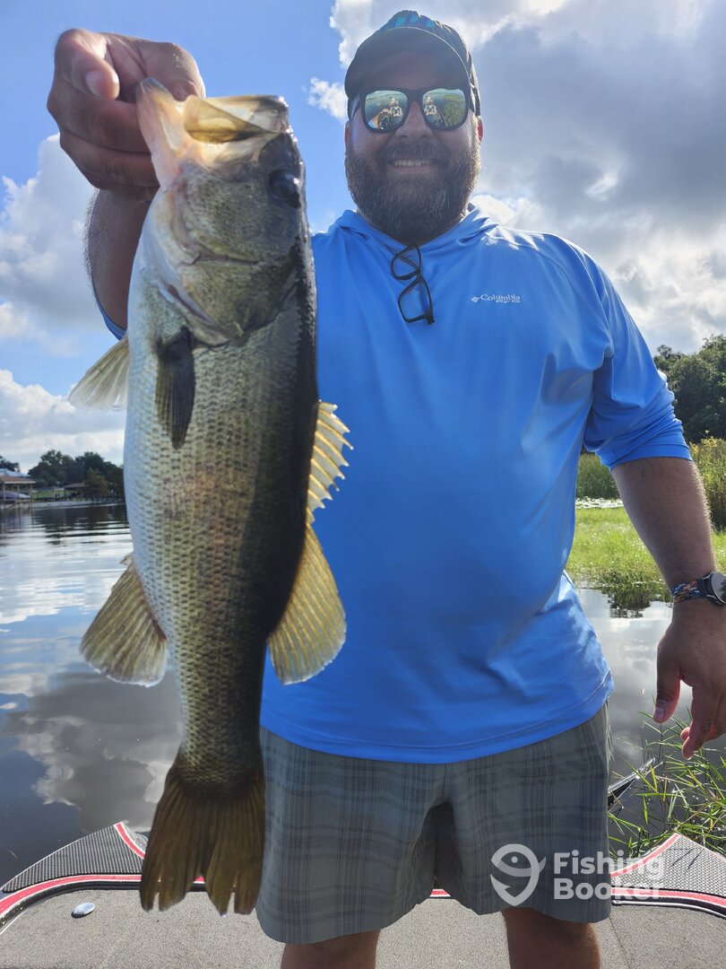 Orlando Report Photo 0