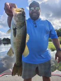 The bass are starting to feed up here in