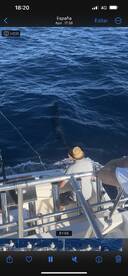 Corralejo Report Photo 2