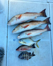 New Smyrna Beach Report Photo 1