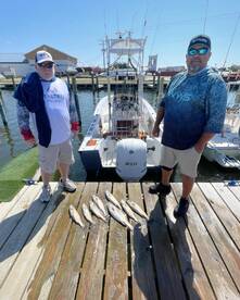 Great live bait fishing