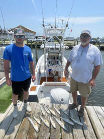 LOTS of fish around! 