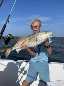 Big pups in the inlet!