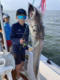 RIDICULOUS ribbon fish action!!!!