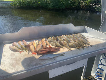 Boynton Beach Report Photo 2