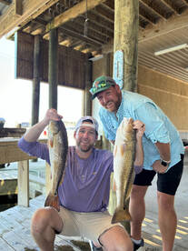 Venice Report Photo 2