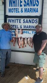 Snapper limits should be good! 