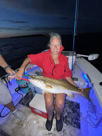 River Road Report Photo 1