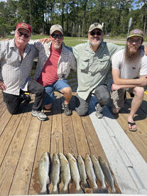 River Road Report Photo 2