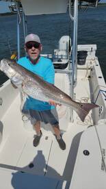 Bull Reds are Chewing 