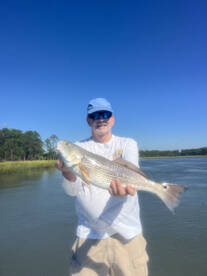 Hilton Head Island Report Photo 1