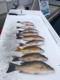 Key West Report Photo 2