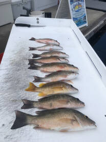 Key West Report Photo 2