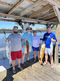 Red Fish and Kings are back! 