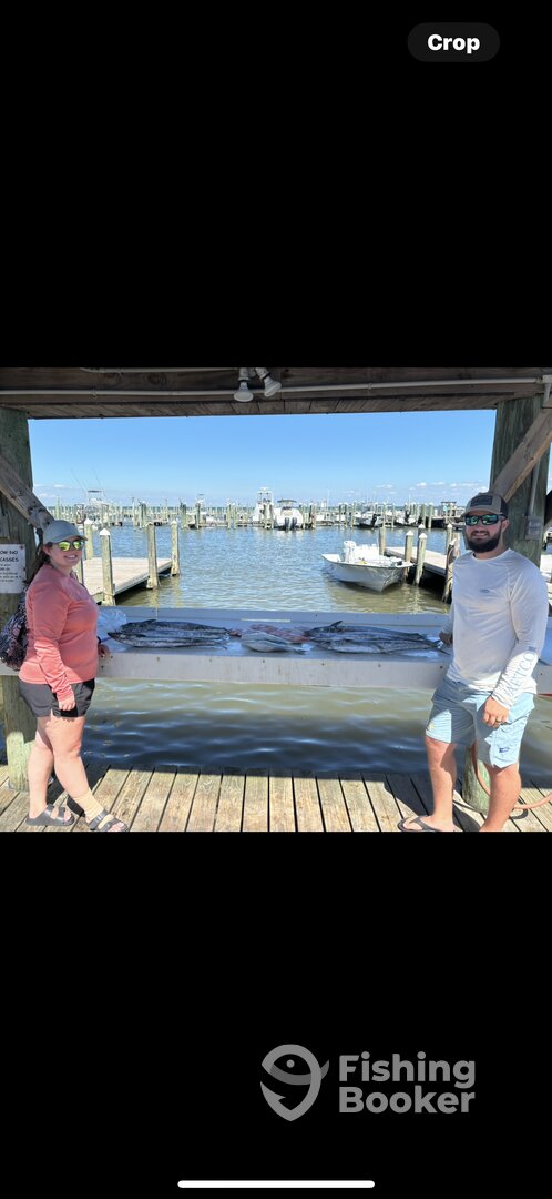 Gulf Shores Report Photo 0