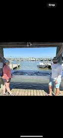 5 hour bottom/trolling trip 