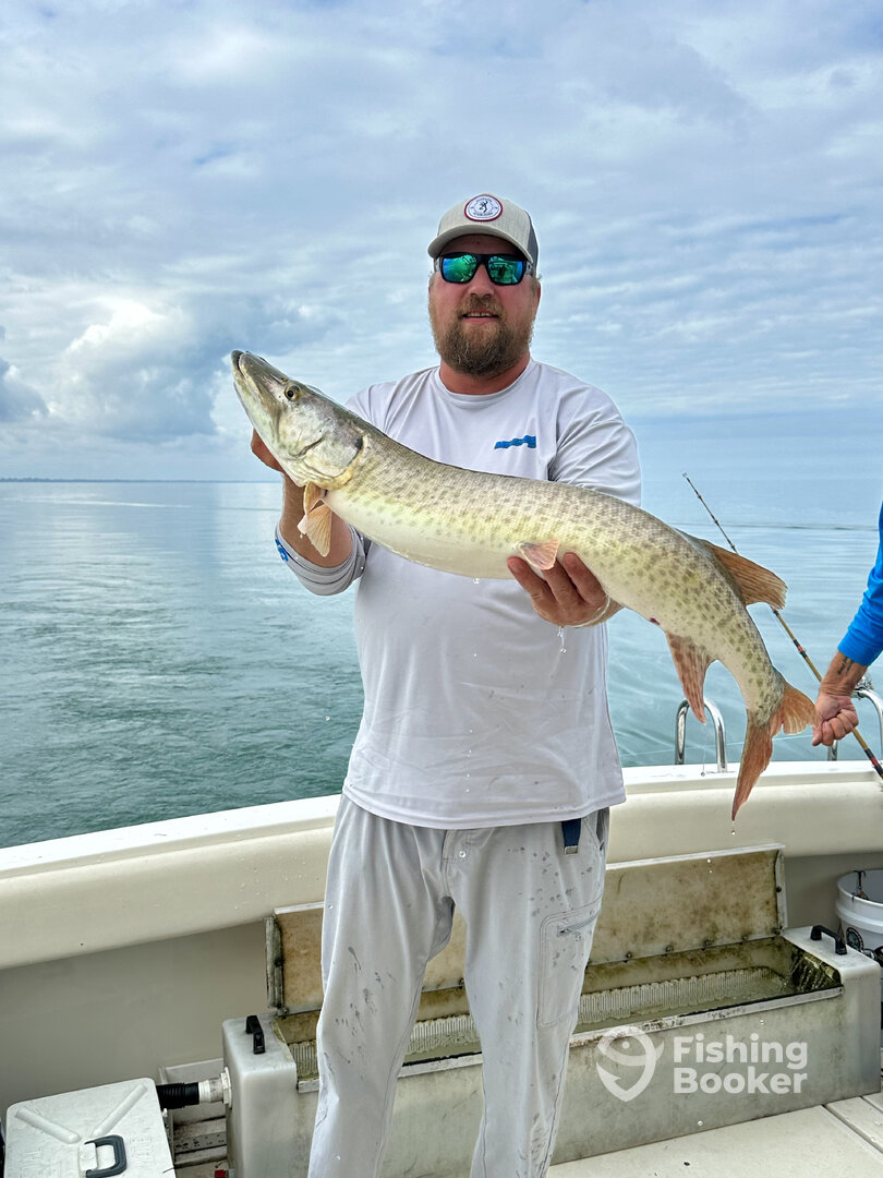 St. Clair Shores Report Photo 0