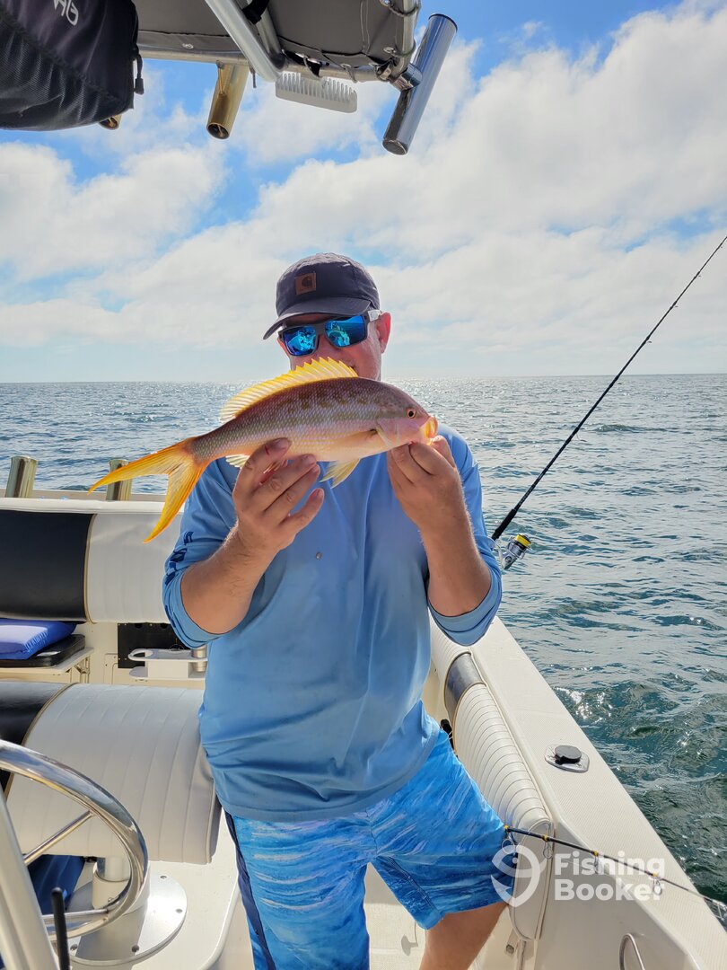 Belleair Bluffs Report Photo 0