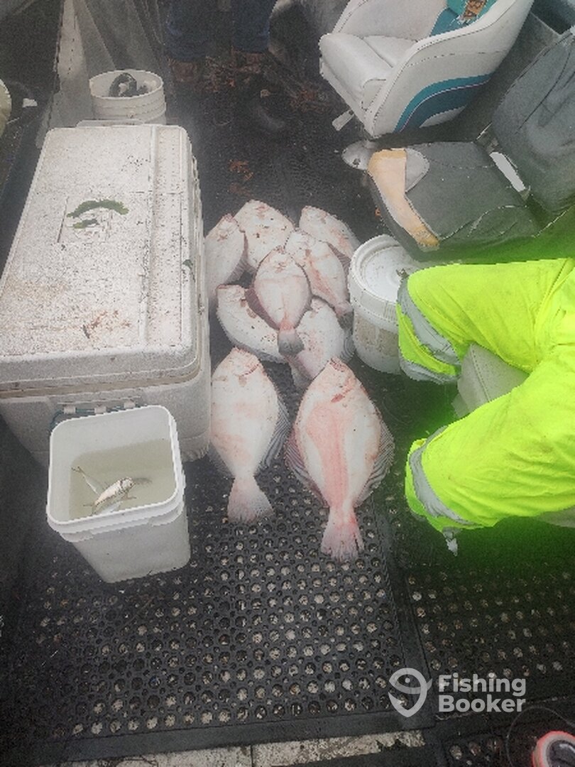 Mastic Report Photo 0