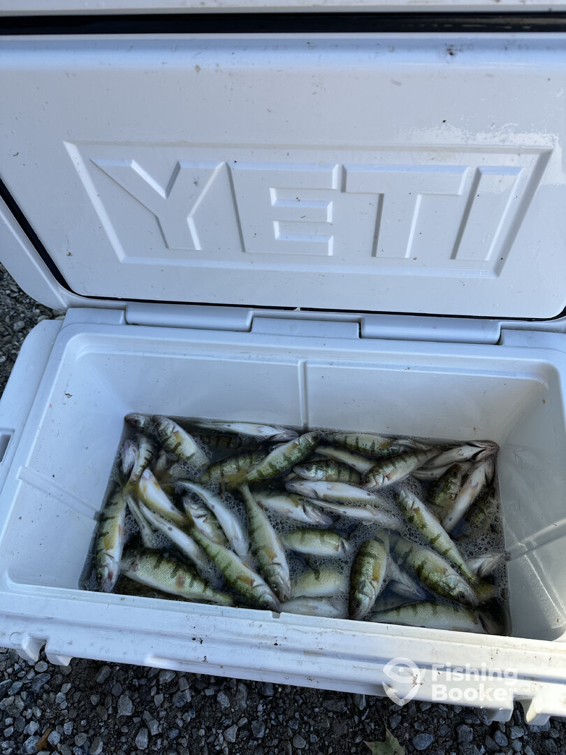 Traverse City Report Photo 0
