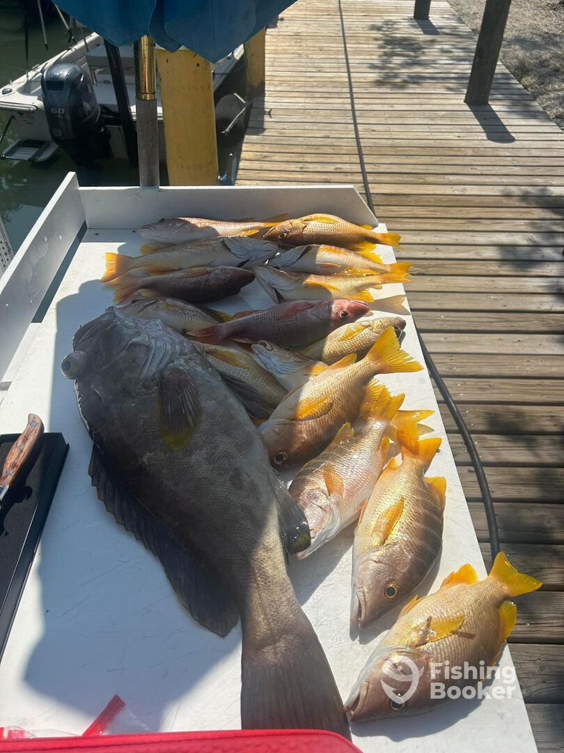 Key Largo Report Photo 0
